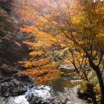 天然水が創られる山々