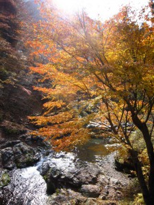 天然水が創られる山々