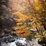 天然水が創られる山々