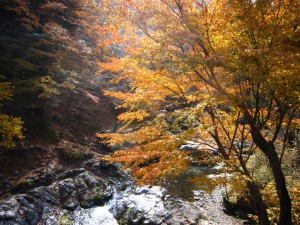 天然水が創られる山々