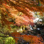 天然水が創られる山々