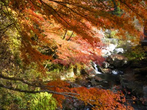 天然水が創られる山々