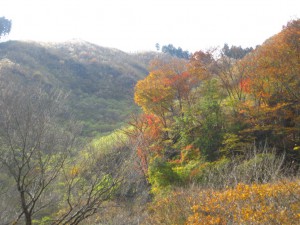 天然水が創られる山々