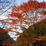 天然水が創られる山々