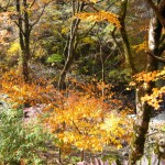 天然水が創られる山々