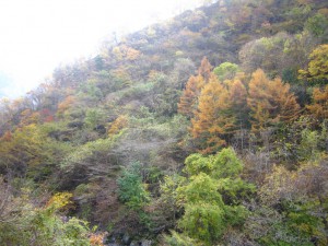 天然水が創られる山々