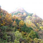 天然水が創られる山々