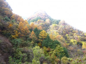 天然水が創られる山々