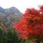 天然水が創られる山々