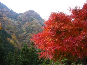 天然水が創られる山々