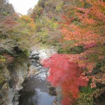 天然水が創られる山々