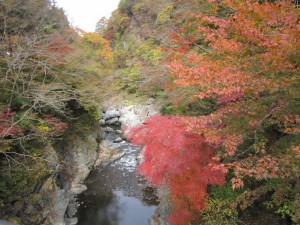 天然水が創られる山々