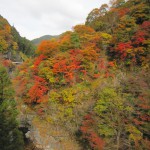 天然水が創られる山々