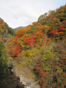 天然水が創られる山々