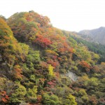 天然水が創られる山々