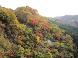 天然水が創られる山々