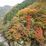 天然水が創られる山々