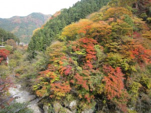 天然水が創られる山々