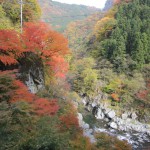 天然水が創られる山々