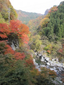 天然水が創られる山々