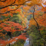 天然水が創られる山々