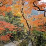 天然水が創られる山々