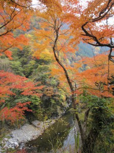 天然水が創られる山々