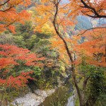 天然水が創られる山々