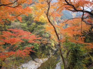 天然水が創られる山々