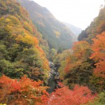 天然水が創られる山々