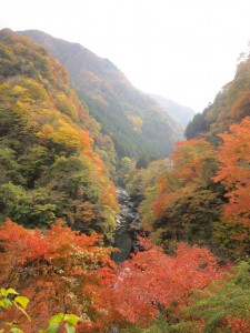 天然水が創られる山々