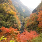 天然水が創られる山々