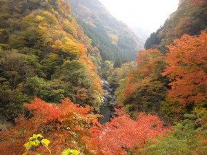 天然水が創られる山々