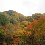 天然水が創られる山々