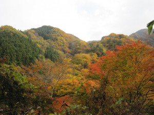 天然水が創られる山々