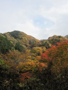 天然水が創られる山々