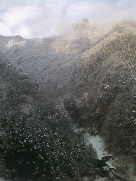 天然水が創られる山々