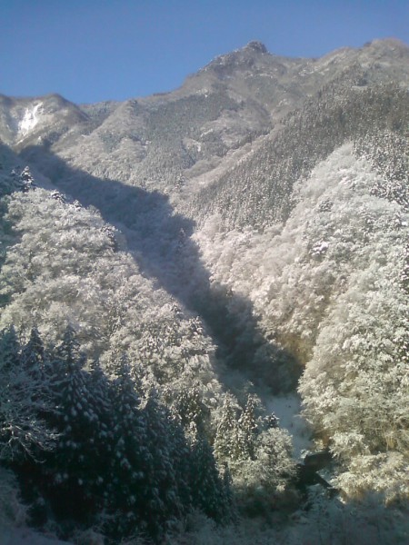 天然水が創られる山々