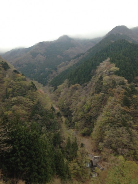 天然水が創られる山々