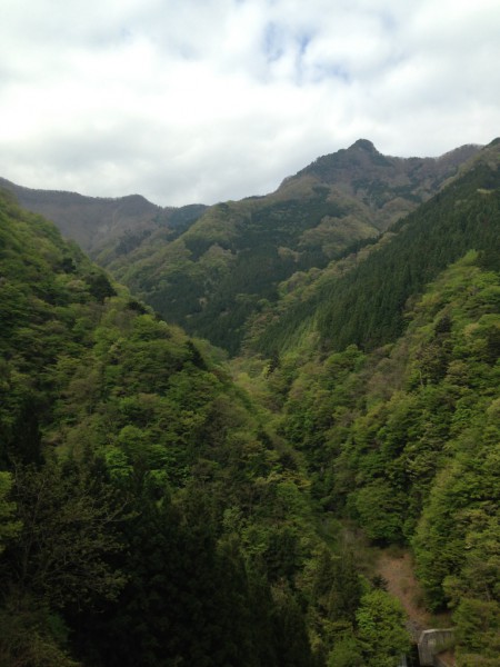 天然水が創られる山々