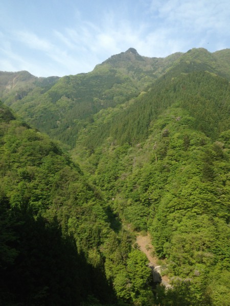 秩父の天然水が創られる山々