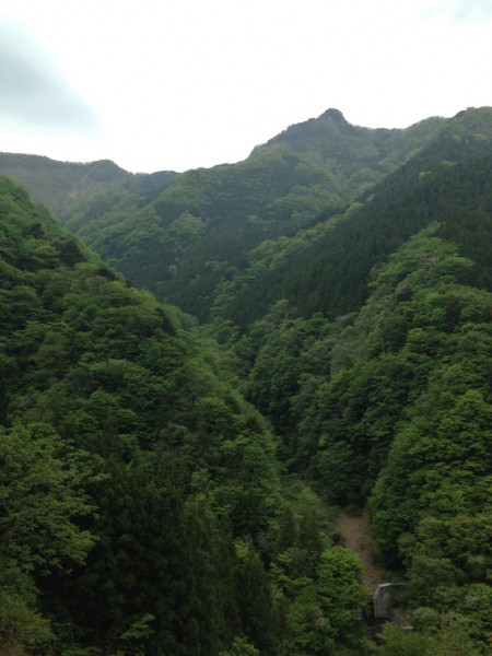 秩父の天然水が創られる山々