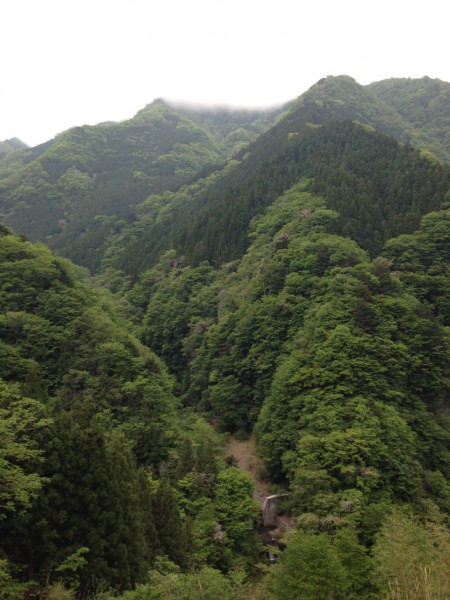 秩父の天然水が創られる山々