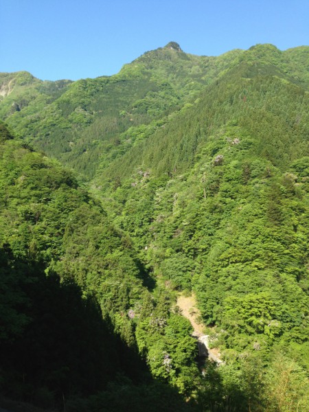 秩父の天然水が創られる山々