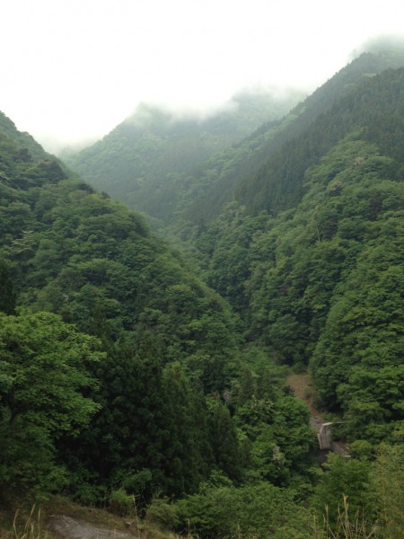 秩父の天然水が創られる山々