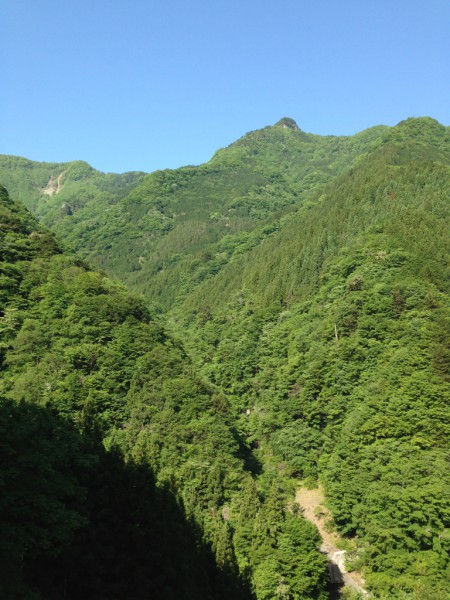 秩父の天然水が創られる山々