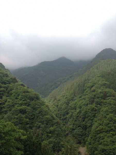 秩父の天然水が創られる山々