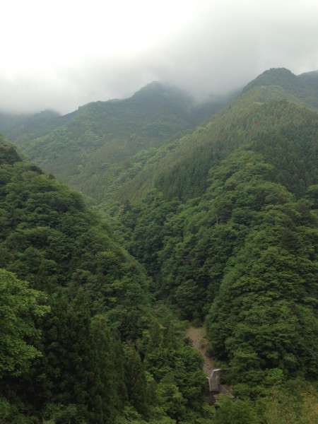 秩父の天然水が創られる山々