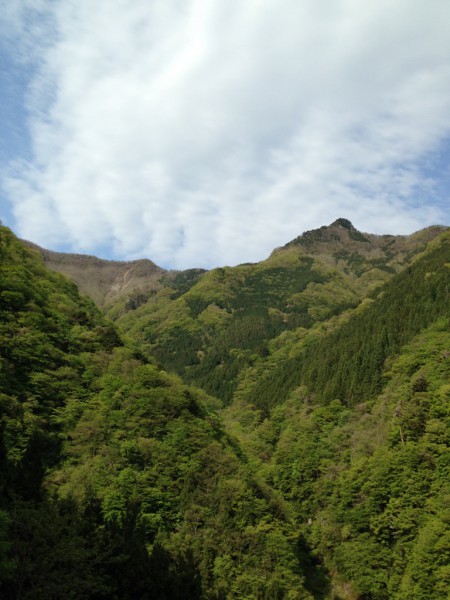 秩父の天然水が創られる山々