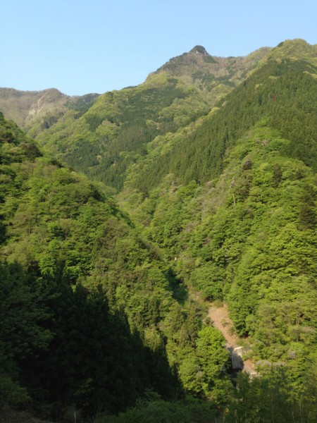 秩父の天然水が創られる山々